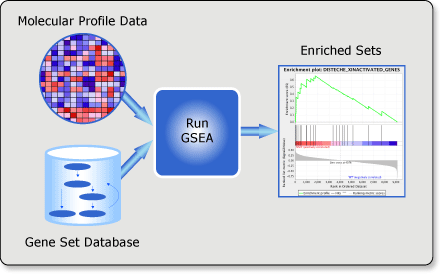 GSEA Workflow