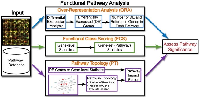 Types of  of functional enrichment analysis