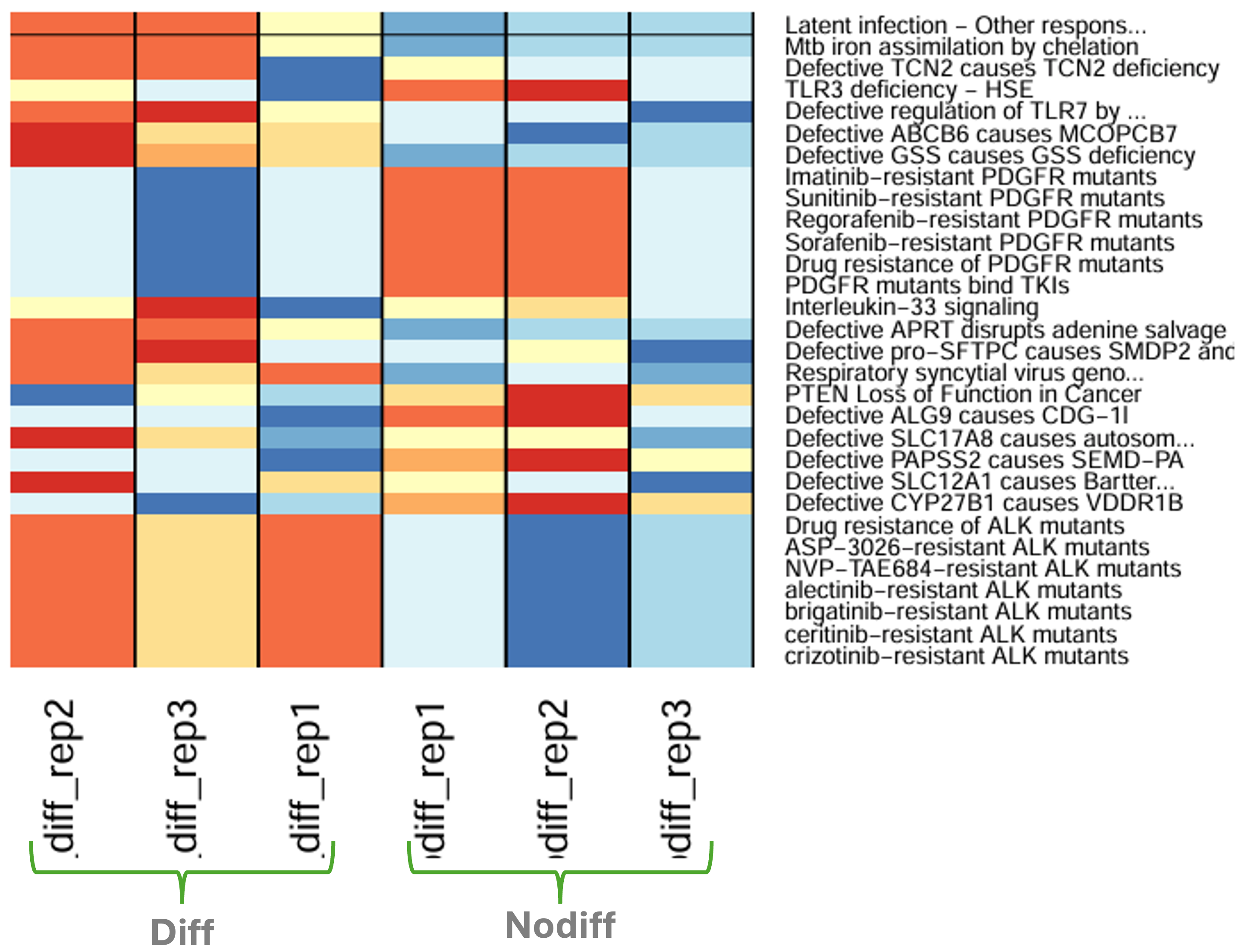 Expression of top 30 pathways with ssGSEA