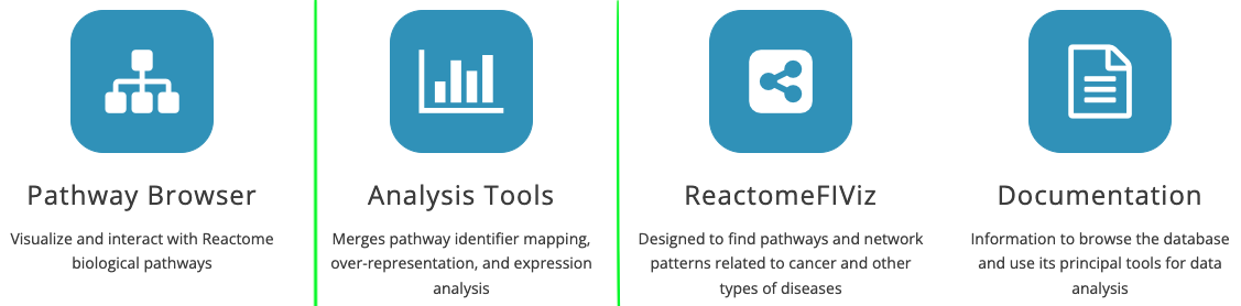 Analysis in Reactome