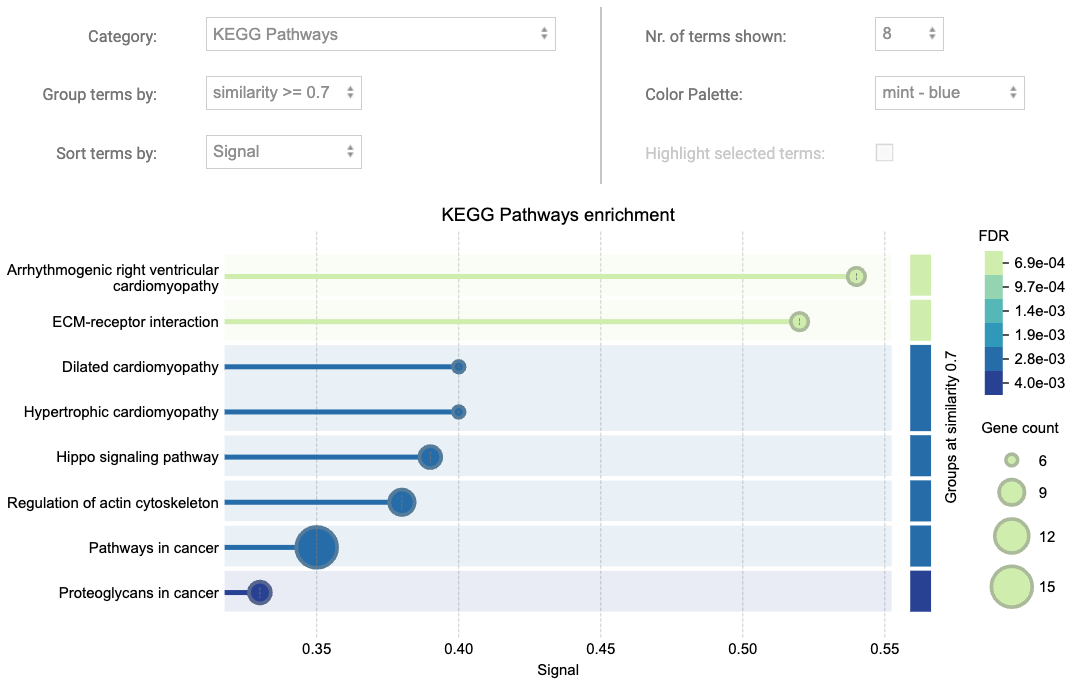 Functional enrichment visualisation with STRING