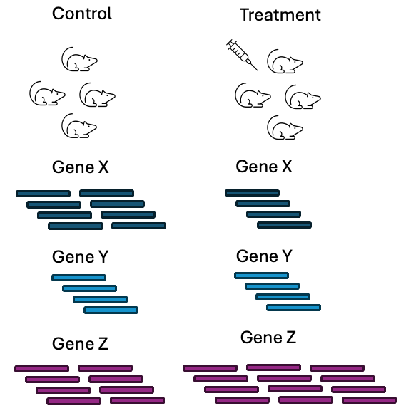 A basic DGE analysis asks which genes have a statistically significant difference in abundance between two conditions