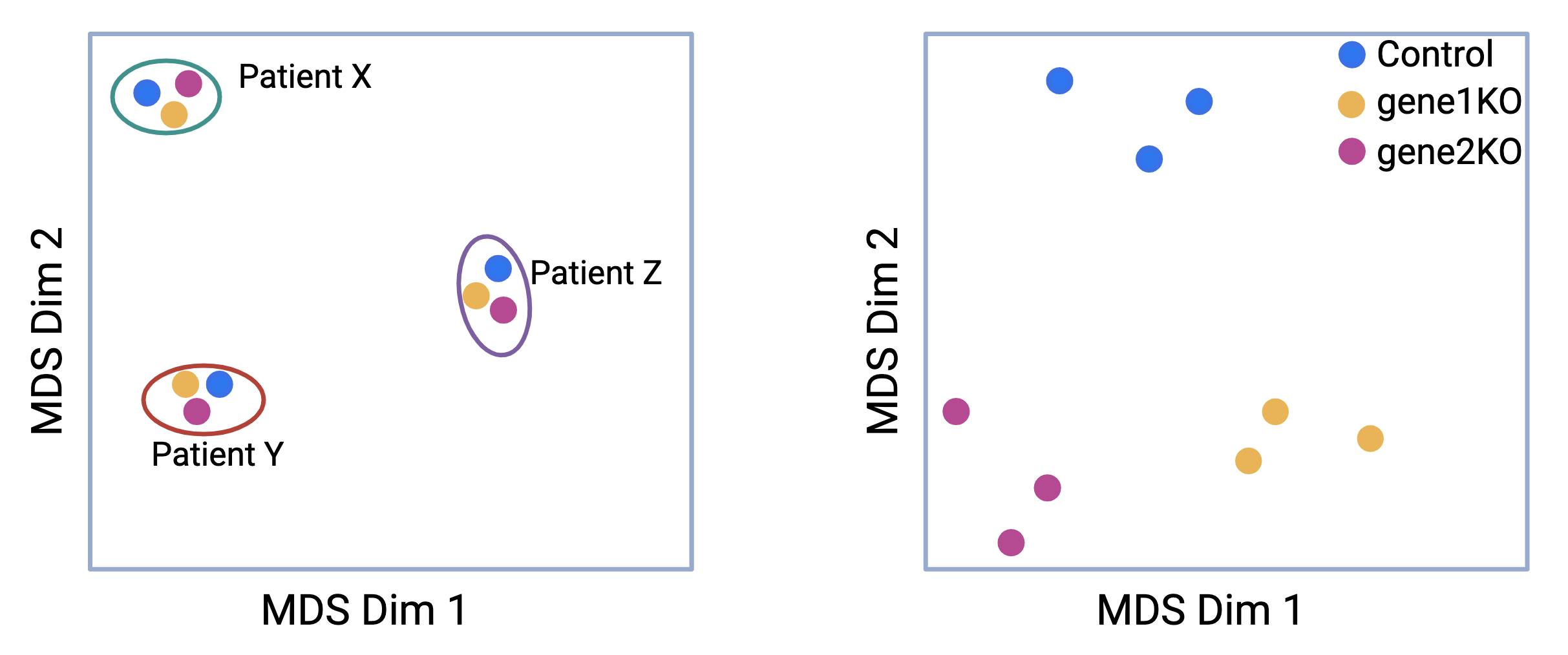 Batch effects: MDS plot before and after removing patient variation from the data.