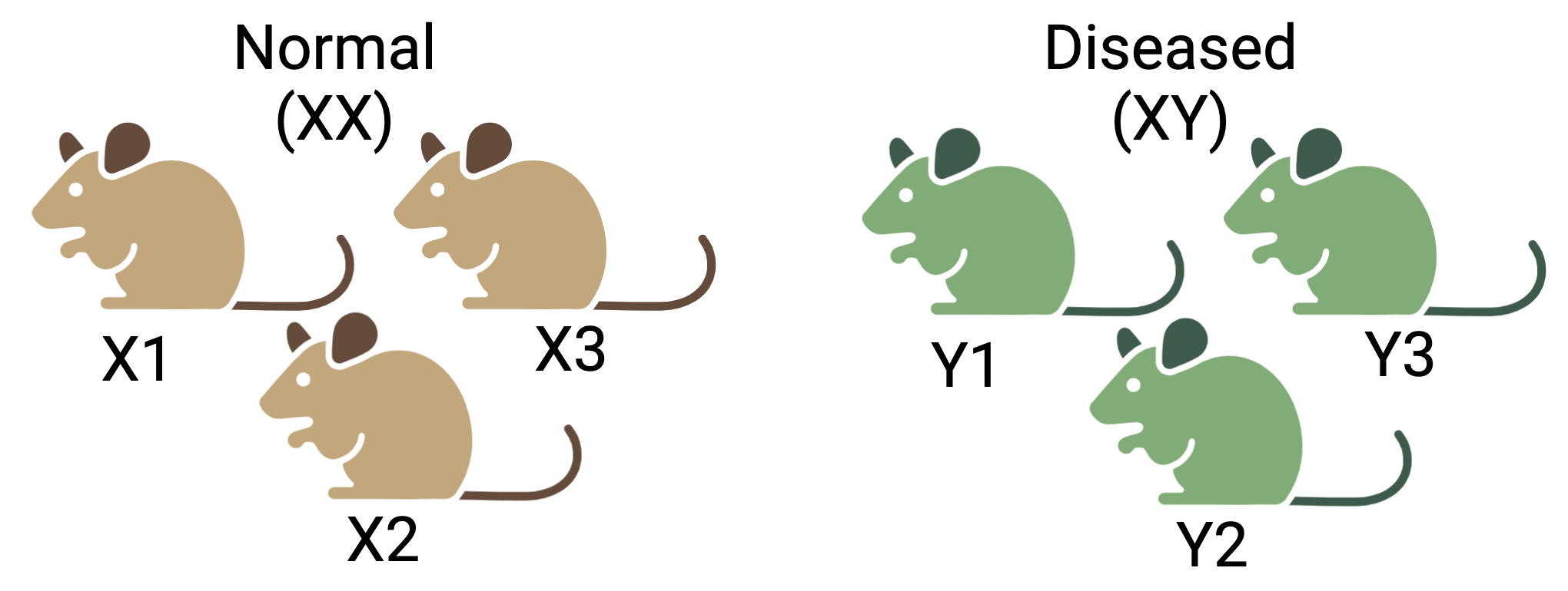 Confounding effects in RNASeq experiments: Three mice are selected each for the two conditions- normal and diseased. But the normal group consist of only female (XX) mice and vice versa. It will be difficult to determine if the true difference between two groups is due to the condition or the sex.