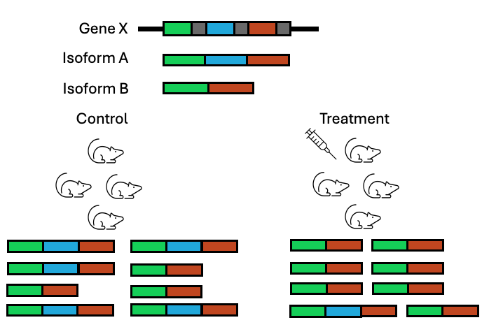 In a DGE analysis, this gene might be ignored for having no change in expression when actually a switch is occuring amongst the isoforms that are being produced