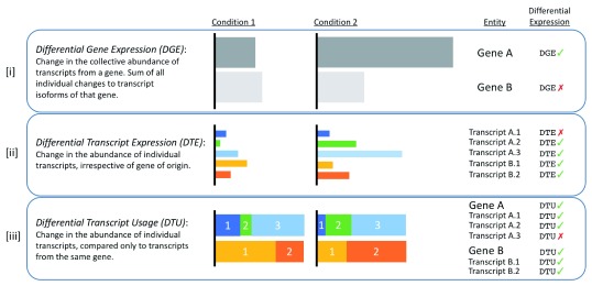 The types of differential expression analysis. Image source: Froussios K, et al, Relative Abundance of Transcripts (RATs): Identifying differential isoform abundance from RNA-seq. F1000Research. 2019