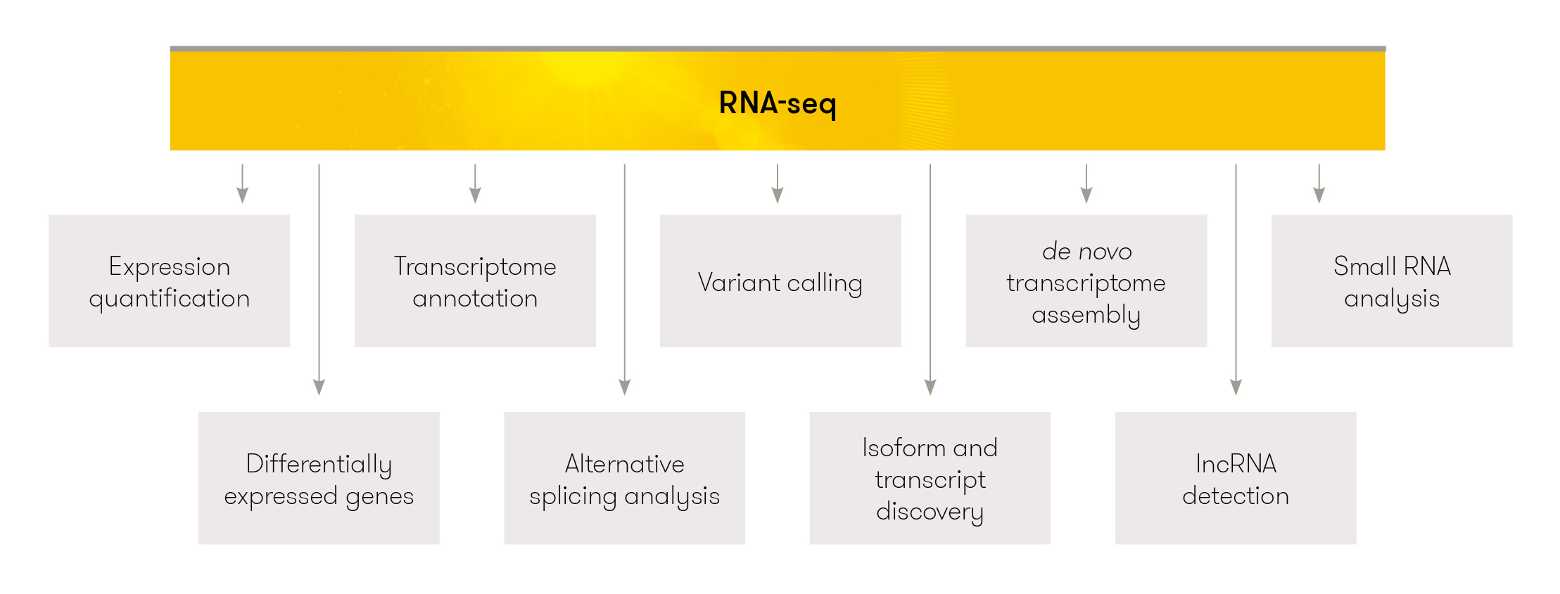Image source: RNA-seq