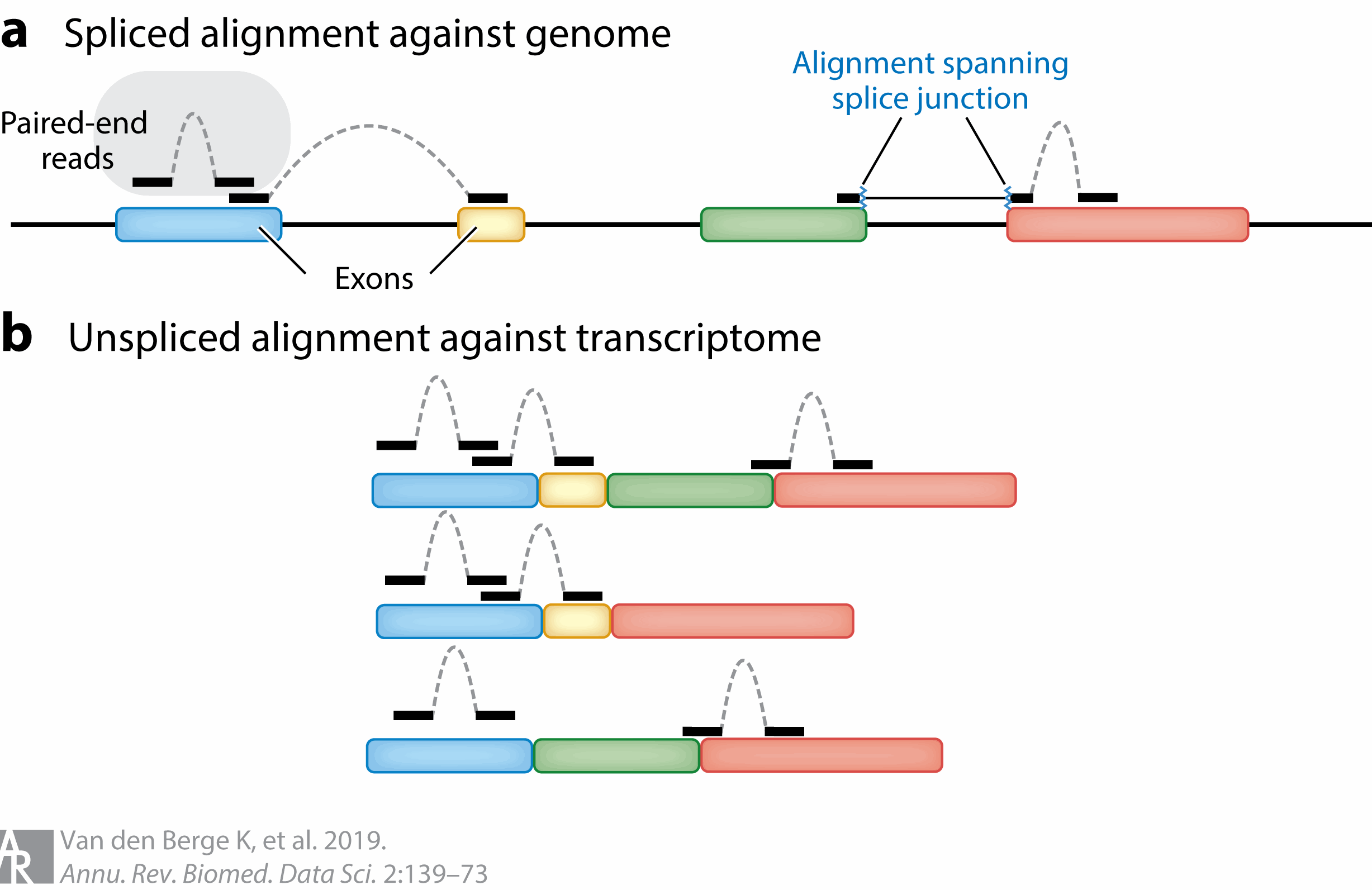 Image source: RNA Sequencing Data: Hitchhiker’s Guide to Expression Analysis, 2019