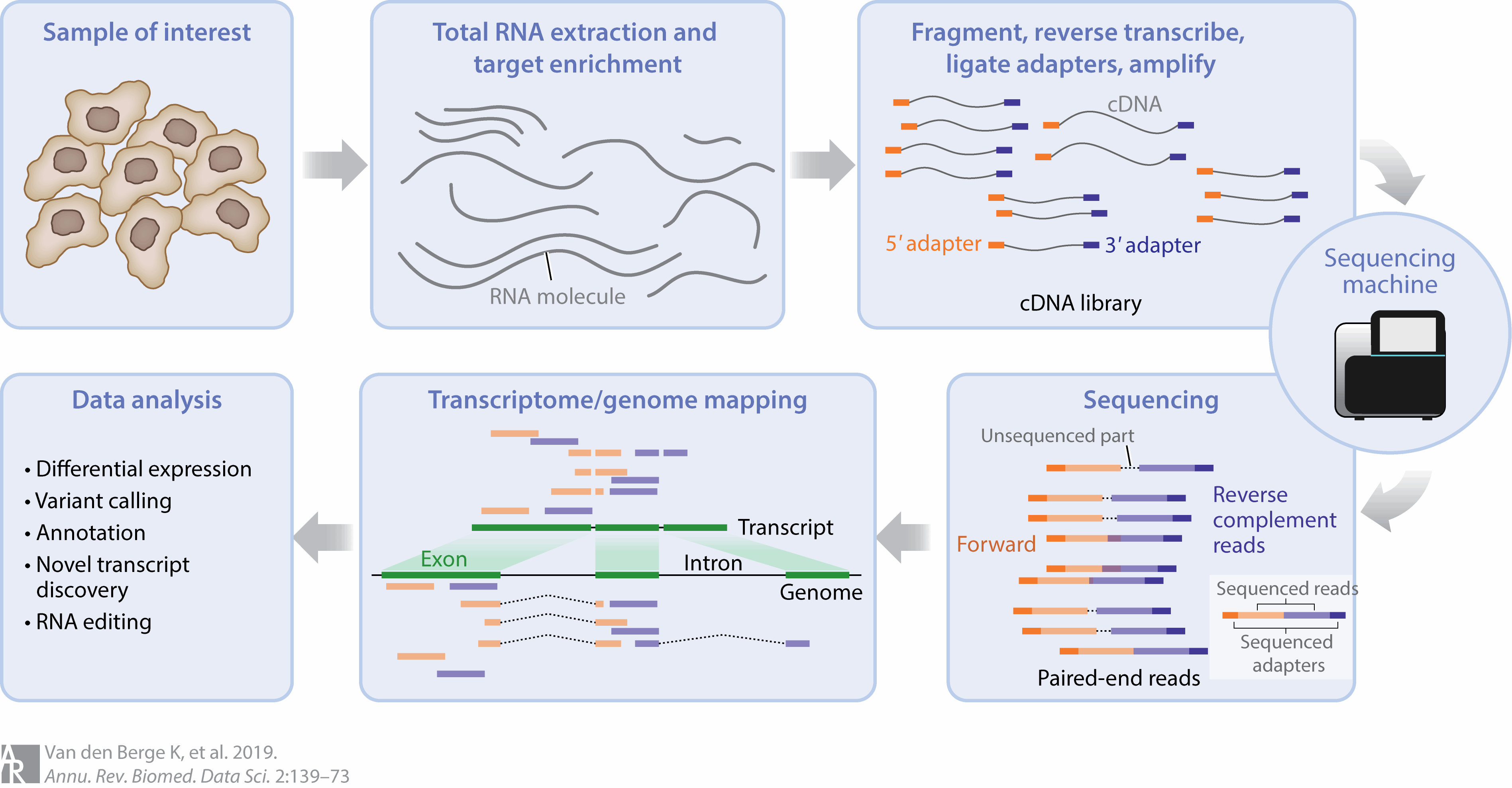 Overview of the steps in an RNAseq experiment. At each of these steps, there are choices that are made that can influence the final output of the experiment. Image source: RNA Sequencing Data: Hitchhiker’s Guide to Expression Analysis, 2019