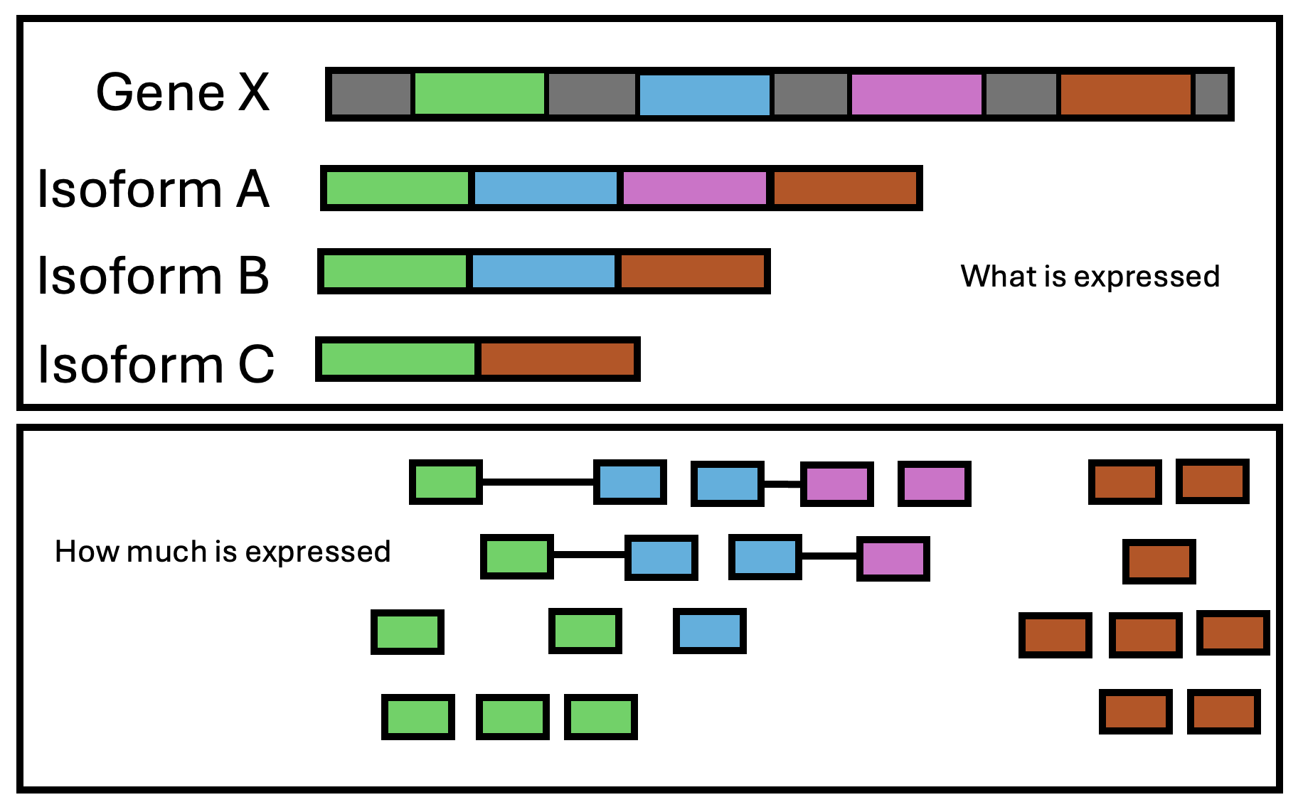 RNAseq captures two layers of information: what is expressed and how much is expressed