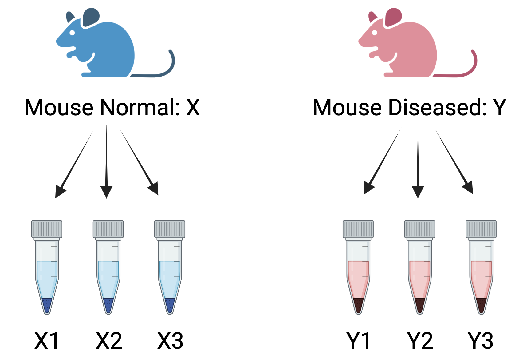 Wrong way to create biological replicates: Three measurements taken from the same mouse for two conditions- normal and diseased. These are called technical replicates. These assess technical variation in an experiment.