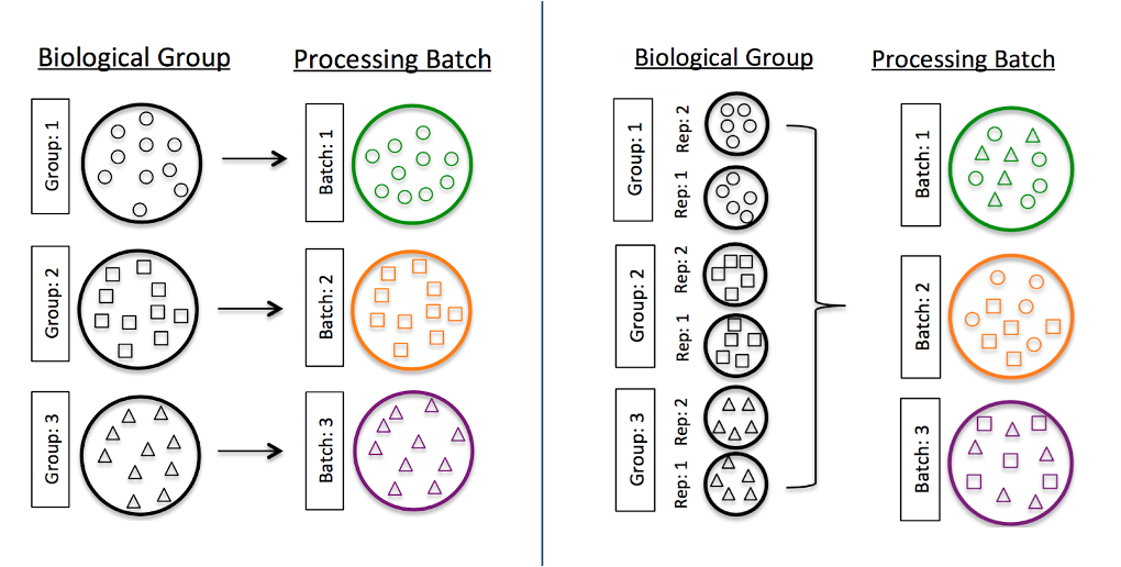 Batch effect caused by processing replicates together. Variation between replicates may be caused by differences in preparation methods. Spreading replicates across batches helps to mitigate the effects at analysis time.