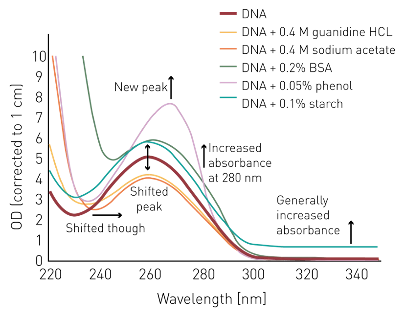 Effect of various common contaminants on the absorbance spectrum of DNA/RNA. Imagen source bmglabtech