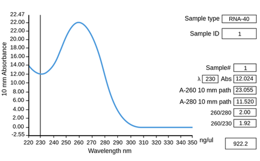 The absorbance spectrum of pure RNA.