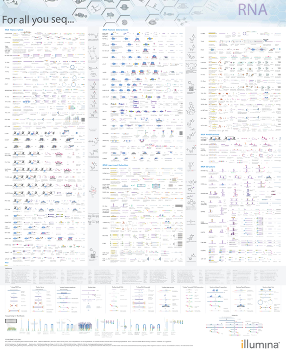 There are many, many, different library preparation methods!. This is Illumina For all you seq - RNA poster. Each line of each column represents a summary of single library prep type... And this is from 2015. Image source ngs-library-prep