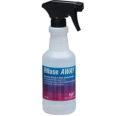 Yes, the RNaseAWAY really does come in a 500mL atomiser!