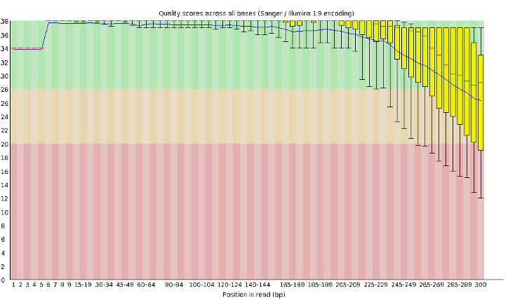 A typical 300b sequencing run generated on an Illumina instrument (Q-score on Y axis, base position on X axis). Beyond about 250b, the quality drops significantly.