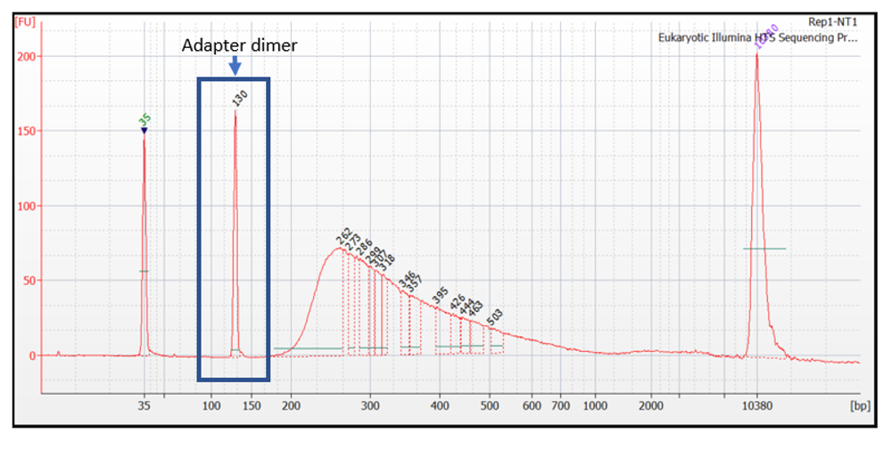 Adapter dimers present in very high concentration. This librar should not be sequenced without further size selection.