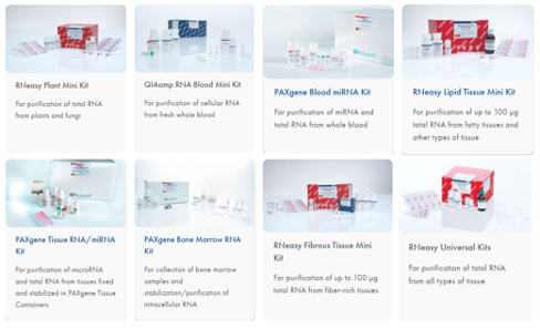 A few examples of QIAGEN’s range of RNA extraction kits.