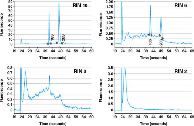 Examples traces of RNA of different levels of degradation, scoring from 2 to 10.