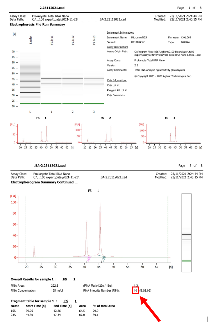 Example bioanalyzer report showing virtual gel image, reaction conditions, per-run and per-sample traces of fluorescence vs time, and most importantly, the score out of 10.