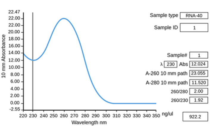 The absorbance spectrum of pure RNA.